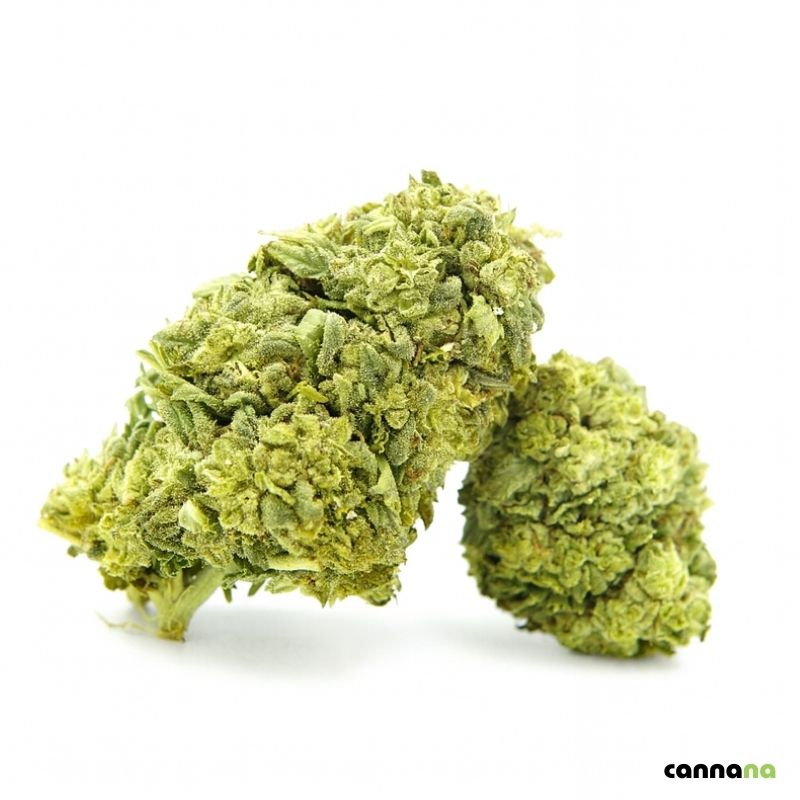 Frosted Cookies Superior 55 % βοΈπͺ