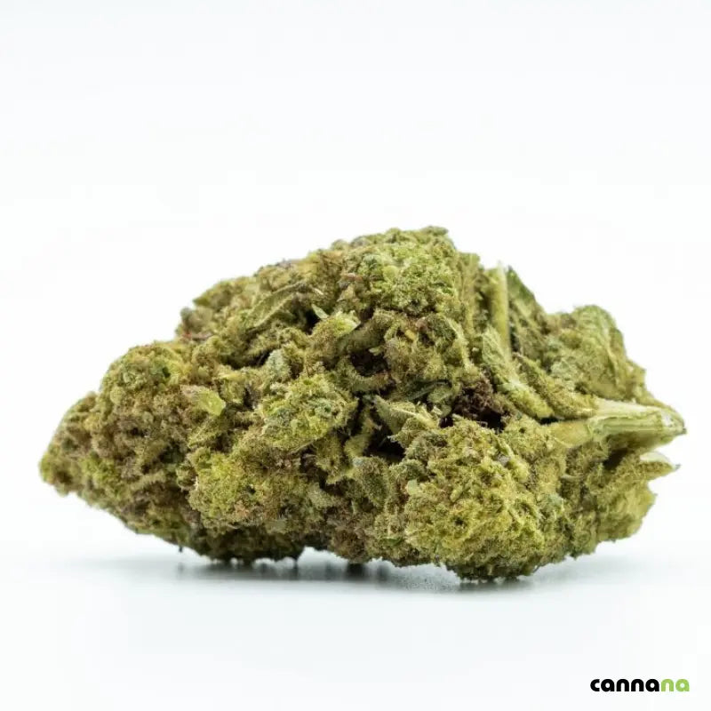 π¦ Gorilla Glue 10-OH 30 % BlΓΌten